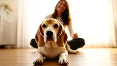 Kogo psy najbardziej kochają w domu i dlaczego wybierają właśnie tę osobę?