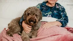 Jaka rasa psa najlepiej odpowiada osobom starszym szukającym psa towarzysza?